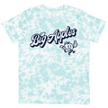 *NEW* Youth HV BIG APPLES Tie-Dye Tee | Teal