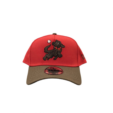 *NEW* HVR HV Retrievers Chocolate Lab New Era 940 Snapback