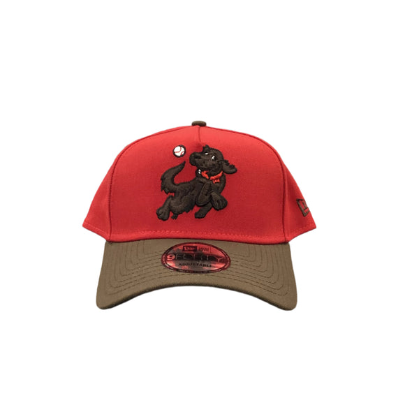 *NEW* HVR HV Retrievers Chocolate Lab New Era 940 Snapback