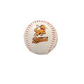 *NEW* Hudson Valley Retrievers 4-Colorway Baseball