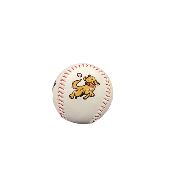 *NEW* Hudson Valley Retrievers 4-Colorway Baseball