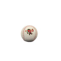 *NEW* Hudson Valley Big Apples Baseball