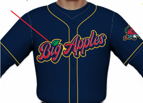 *PRE-Order* Adult Hudson Valley BIG APPLES FB Replica Jersey